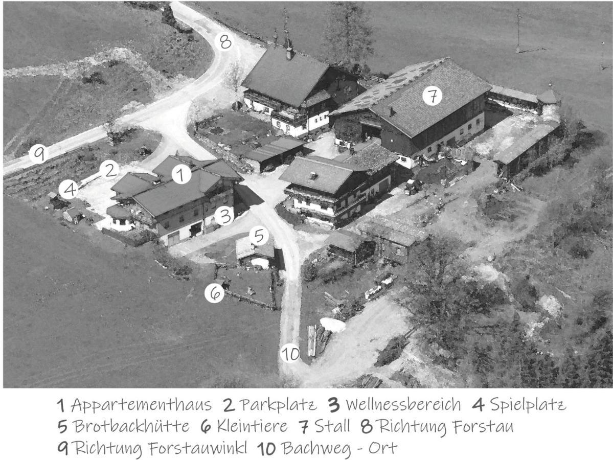 Oeko-Appartements Fallhaus Forstau  Esterno foto